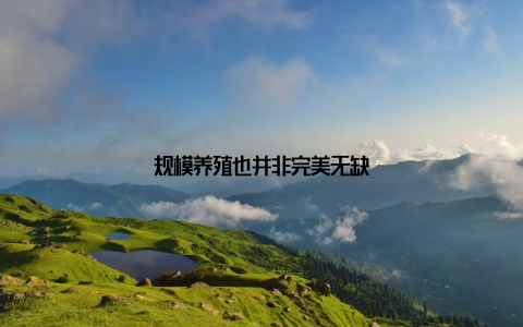 规模养殖也并非完美无缺