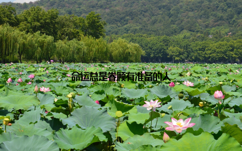 命运总是眷顾有准备的人