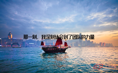 那一刻, 我深刻体会到了团队的力量