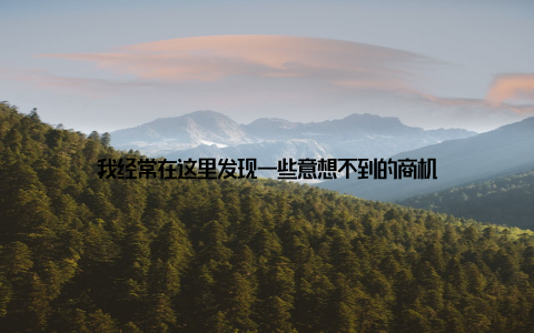 我经常在这里发现一些意想不到的商机