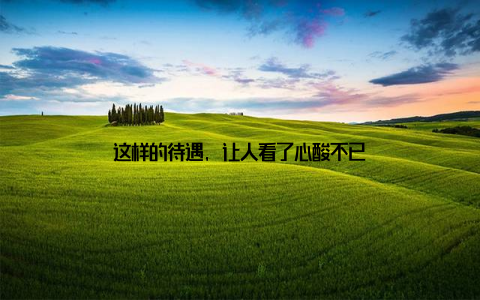 这样的待遇, 让人看了心酸不已