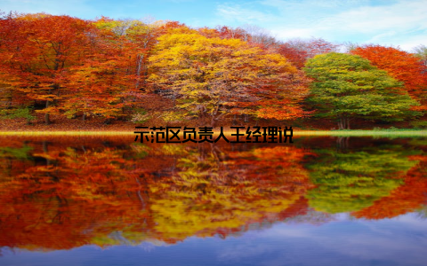 示范区负责人王经理说