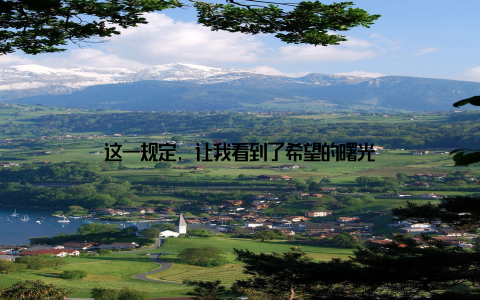 这一规定, 让我看到了希望的曙光