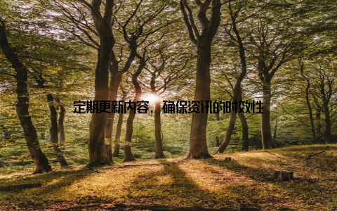 定期更新内容, 确保资讯的时效性