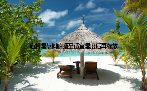 应将湿草料晾晒至适宜湿度后再存放