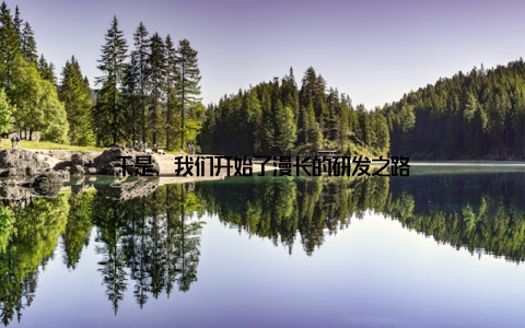 于是, 我们开始了漫长的研发之路