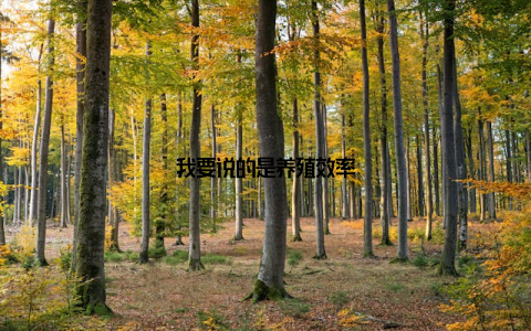 我要说的是养殖效率