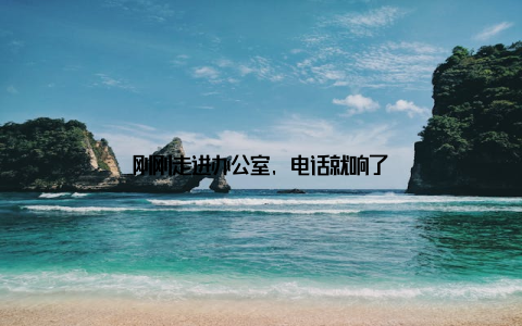 刚刚走进办公室, 电话就响了