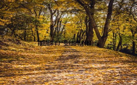 推动绵羊产业链的优化升级