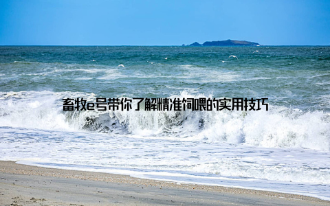 畜牧e号带你了解精准饲喂的实用技巧