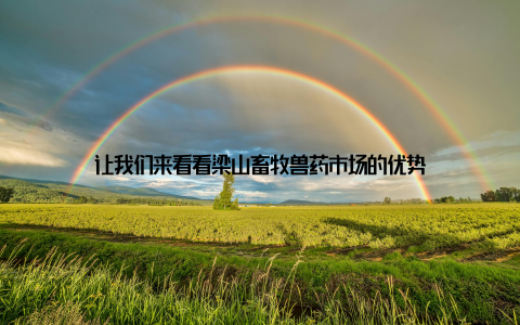 让我们来看看梁山畜牧兽药市场的优势