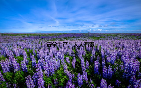 安全生产, 人人有责