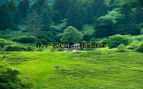 作为一名见证者, 我深感自豪