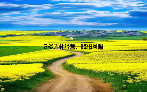 2多元化经营, 降低风险