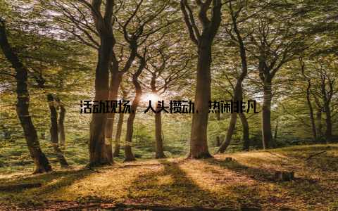 活动现场, 人头攒动, 热闹非凡