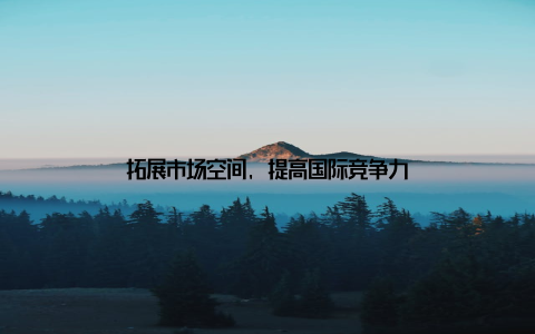 拓展市场空间, 提高国际竞争力