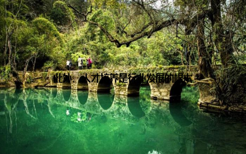 此外, 人才培养是行业发展的根本