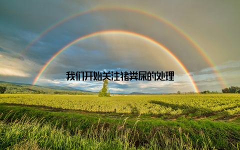 我们开始关注猪粪尿的处理