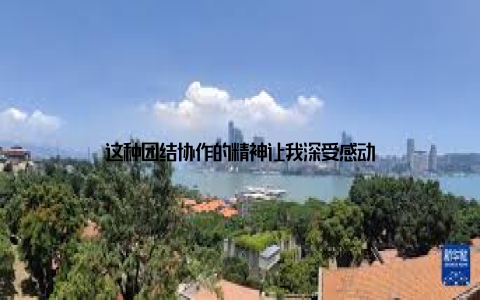 这种团结协作的精神让我深受感动