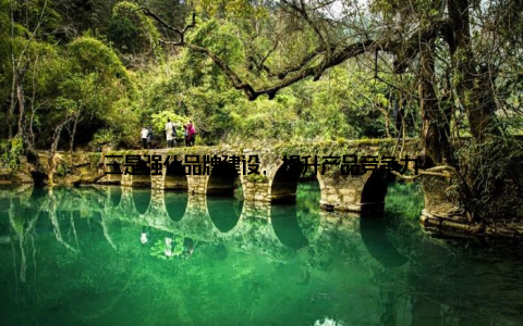 三是强化品牌建设, 提升产品竞争力