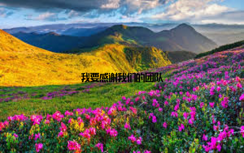 我要感谢我们的团队