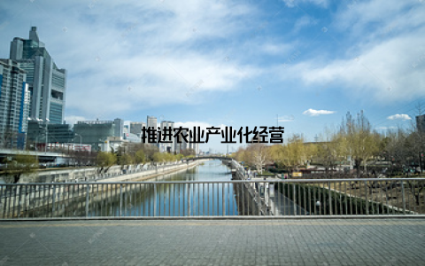 推进农业产业化经营