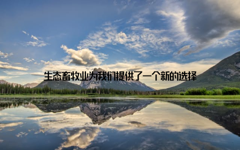 生态畜牧业为我们提供了一个新的选择