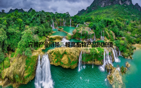 完善产业链条, 提高畜牧产品附加值