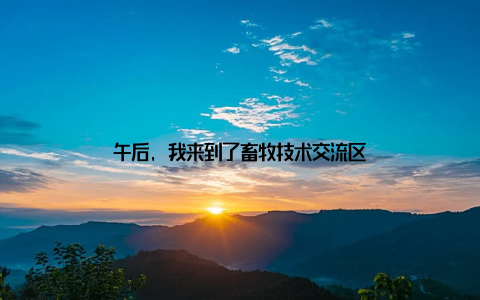 午后, 我来到了畜牧技术交流区