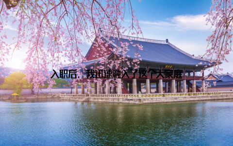 入职后, 我迅速融入了这个大家庭