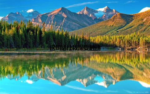 这句话让我深受触动