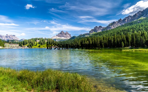 如今的情况大不相同了