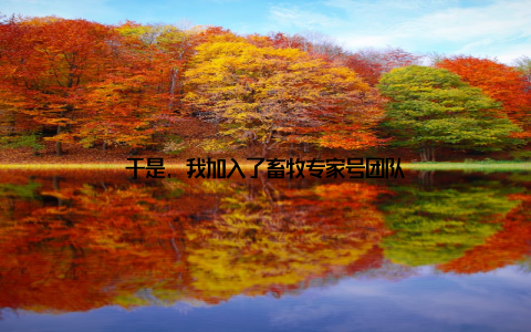 于是, 我加入了畜牧专家号团队