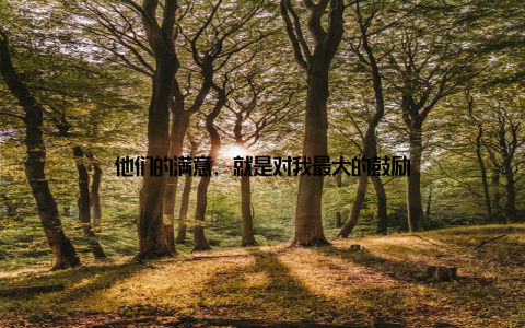 他们的满意, 就是对我最大的鼓励