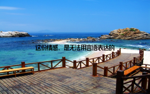 这份情感, 是无法用言语表达的