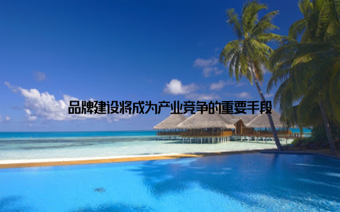 品牌建设将成为产业竞争的重要手段
