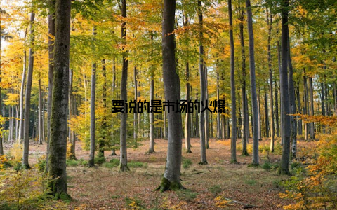 要说的是市场的火爆