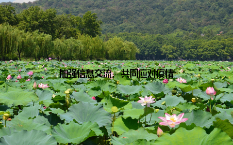 加强信息交流, 共同应对疫情