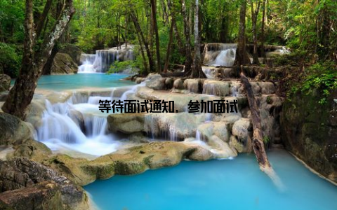 等待面试通知, 参加面试