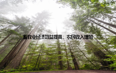 畜牧业经济效益提高, 农民收入增加