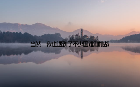 当然, 我也遇到了不少困难和挑战