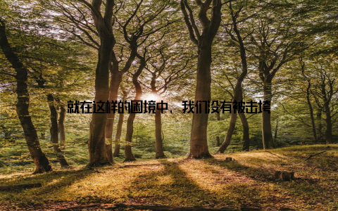 就在这样的困境中, 我们没有被击垮