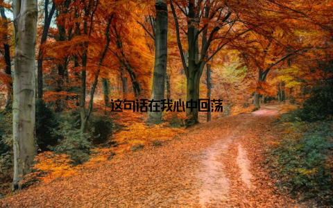 这句话在我心中回荡