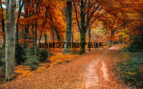 我们建立了完善的产品体系