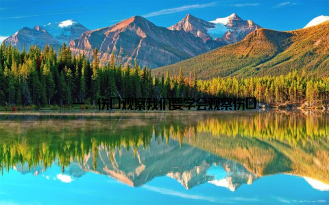 一、伤口观察我们要学会观察伤口