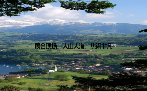 展会现场, 人山人海, 热闹非凡