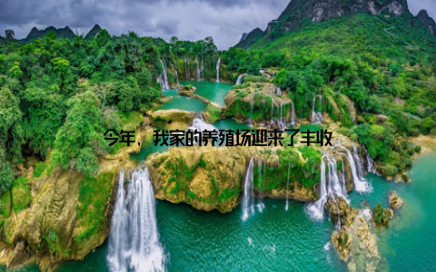 今年, 我家的养殖场迎来了丰收