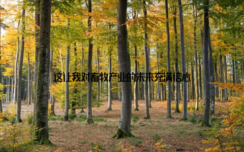 这让我对畜牧产业的未来充满信心