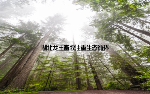 湖北龙王畜牧注重生态循环