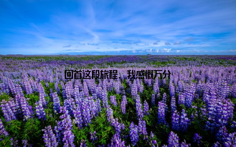 回首这段旅程, 我感慨万分